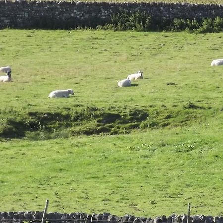 Curlew Barn Bed & Breakfast Leyburn Dış mekan fotoğraf
