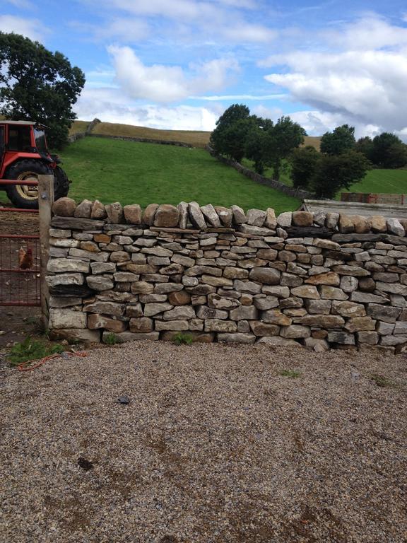 Curlew Barn Bed & Breakfast Leyburn Dış mekan fotoğraf