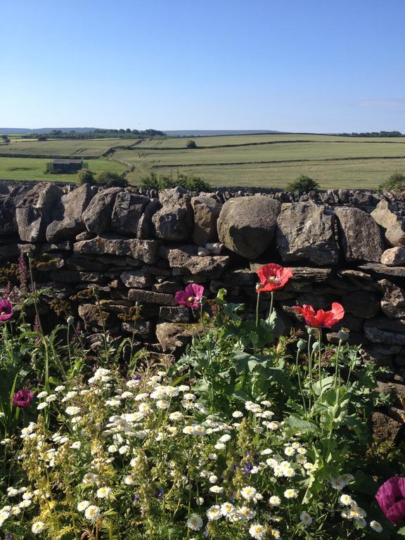 Curlew Barn Bed & Breakfast Leyburn Dış mekan fotoğraf