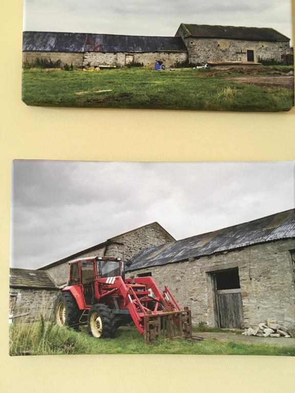 Curlew Barn Bed & Breakfast Leyburn Dış mekan fotoğraf