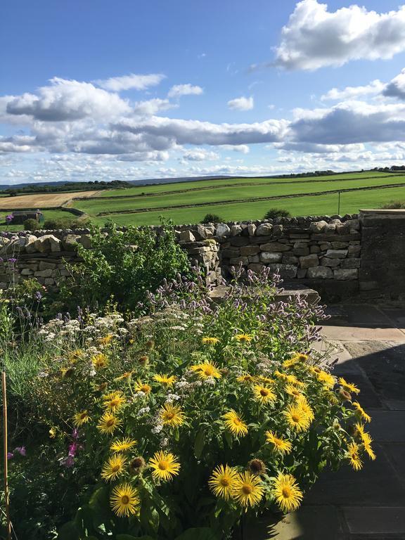 Curlew Barn Bed & Breakfast Leyburn Dış mekan fotoğraf